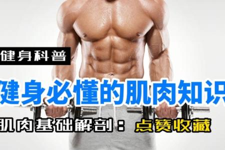 专业的健身知识视频 可遇不可求-]