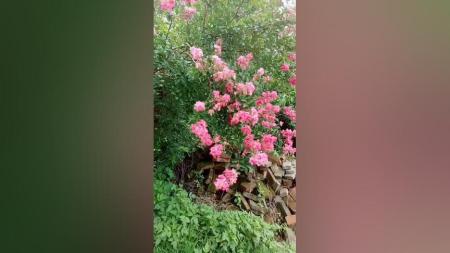 竖屏风景第1季