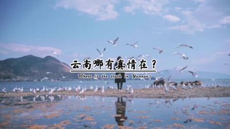 文案—精简短句。网易云热评。每句摘抄。渣男语录