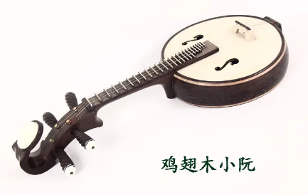 小阮简介，关于这种传统乐器有什么发展历史？