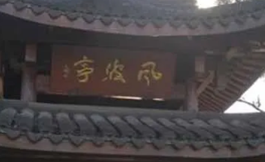 岳飞含冤屈辱而死，为什么他的岳家军不去救他？