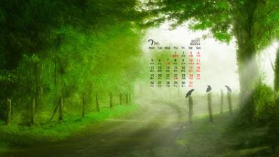 2021电脑壁纸大全（高清）