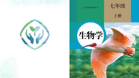 初中人教版全科电子课本_电子书