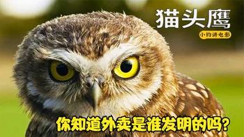 《猫头鹰猫头鹰》_一只生活在地下的猫头鹰，竟是外卖的始祖，纪录片《猫头鹰》