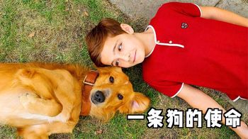 《变身》轮回四次，归来仍是少年！