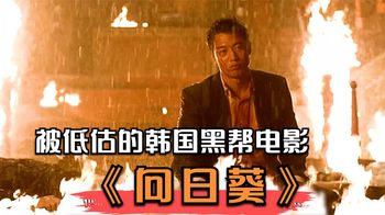《向日葵》影视：韩国电影《向日葵》，一人赤手空拳挑翻整个黑帮