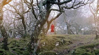《牧羊人冰魔》2022最新惊悚片《牧羊人》男子荒岛牧羊，遭遇灵异红衣女！