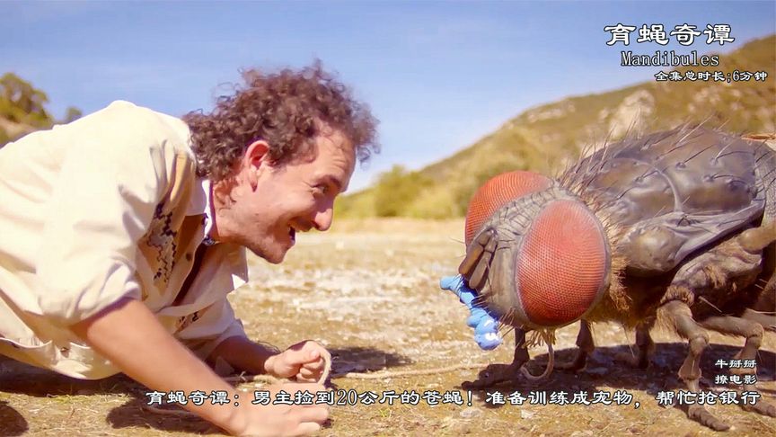 《育蝇奇谭》育蝇奇谭：男主捡到20公斤的苍蝇！准备训练成宠物，帮忙抢银行《育婴奇谭》