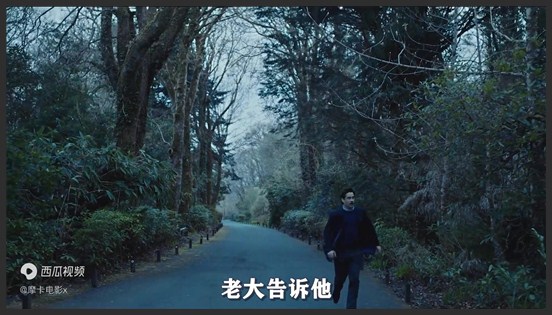 《龙虾》单身狗看后瑟瑟发抖，反乌托邦电影，黑色奇幻片《龙虾》