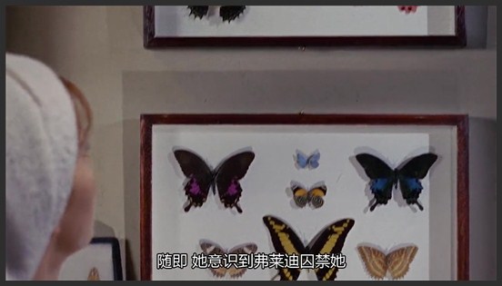 《蝴蝶春梦》殿堂级心理悬疑片，密室囚禁类电影开创之作，获过国际电影节大奖《蝴蝶不说话》