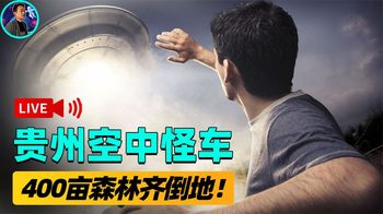 《纪录片》_贵州惊现“麦田怪圈”！400亩树被拦腰截断，地面发现神秘爪印？