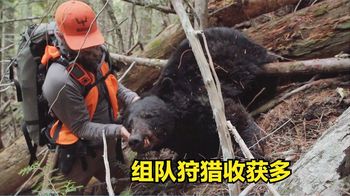 《纪录片》_职业猎人组队狩猎，先是收获几百斤的黑熊，接着又得到一只火鸡！