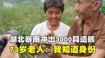 《纪录片》_2010年，湖北暴雨冲出3000具尸骸，73岁老人老泪纵横：我知道身份