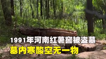 1991年河南红薯窖被盗墓，墓内寒酸空无一物，墓主竟是齐国太夫人
