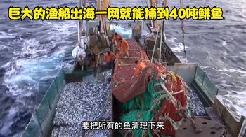《纪录片》_海上加工厂渔船一天就能加工500吨鱼获，放一网就能捕40吨鲱鱼