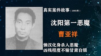 《纪录片》_女子诡异失踪牵出的沈阳第一恶性大案，凶残程度不输甘肃白银案