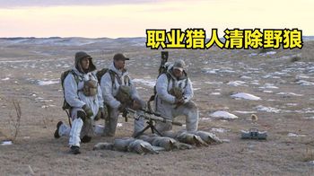 《纪录片》_国外野狼泛滥成灾，职业猎人受邀清理，一天收获4只赚上千美金！