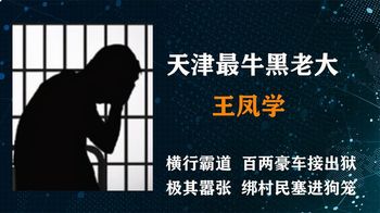 《纪录片》_天津最牛黑老大，80后手段狠毒独霸天津十余年，出狱百辆豪车相迎