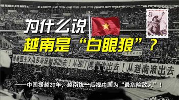 《纪录片》_越南70年代怎样变白眼狼？面对安全威胁，中国半个月完成教训目的