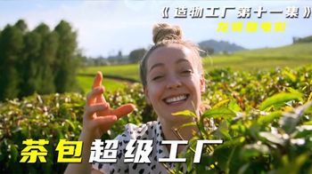 《造物工厂》_11_【探访工厂】还在冲茶包？看完就知道为什么中国人喜欢现冲茶叶_龙哥盘电影