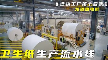 《造物工厂》_14_【探访工厂】随处可见的卫生纸，你见过整个生产流水线过程吗？_龙哥盘电影