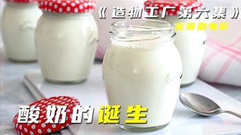 《造物工厂》_6_【探访工厂】黑加仑酸奶制作全过程，看超级大厂如何制作的_龙哥盘电影