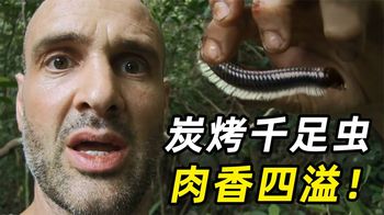 德爷重返雨林，误入雷区差点被炸飞，炭烤千足虫压压惊