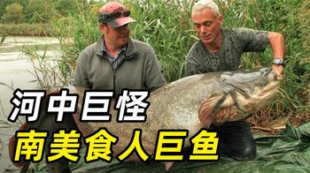 河中巨怪：南美食人巨鱼，诡秘杀手，轻松吞掉一个人！