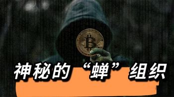 神秘的“蝉”组织