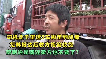 走上千公里送3车树苗到成都，抵达后买家说不要了，当场吓蒙司机