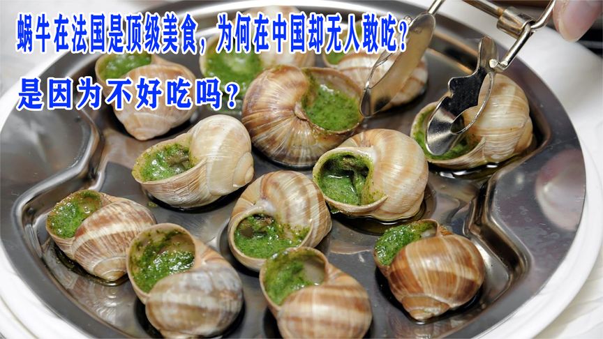 蜗牛在法国是顶级美食，为何在中国却无人敢吃？是因为不好吃吗？
