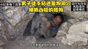 鬣狗偷吃村民家禽，被男人赤手空拳爬进洞穴里把它抓出来驯化表演