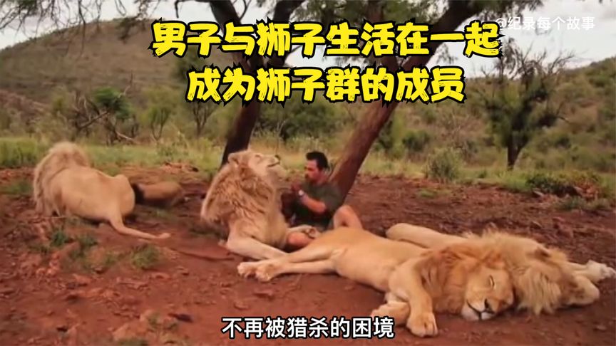 热门男子为了保护狮子不惜放弃工作从千里之外来到非洲跟狮子一起生活