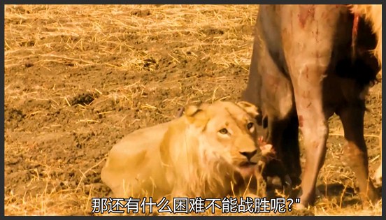 彪悍公牛的永不言弃,科学,空间探索,