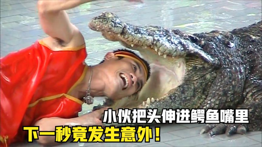 国外小伙表演杂技，冒死把头伸进鳄鱼嘴里，下一秒竟出现意外！