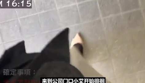 日本女社畜的一天，经常深夜两三点才下班，过着地狱般的生活纪录片社畜