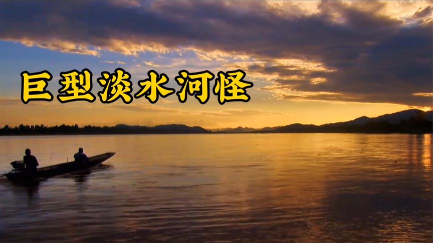河中巨怪：杰叔前往泰国寻找600斤重淡水鱼！