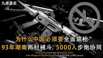 为什么中国必须要全面禁枪，93年湖南两村械斗，5000人步炮协同