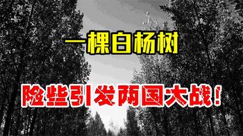 1976年，因为一棵白杨树，险些引发第二次朝鲜战争！
