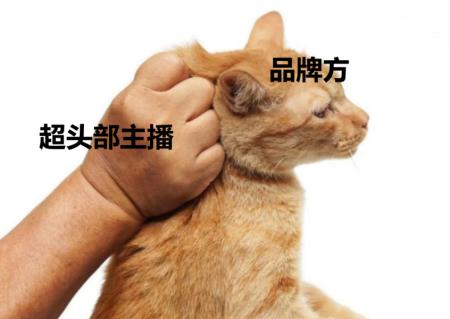 那些整活儿的直播间