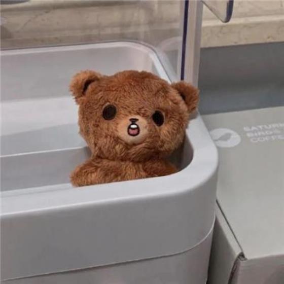 【经典】自己种四季豆的文案（种豆文案短句干净）