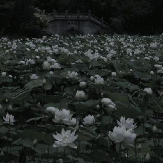 【唯美】秋天的晚风唯美句子大全（秋天的风很美短句）