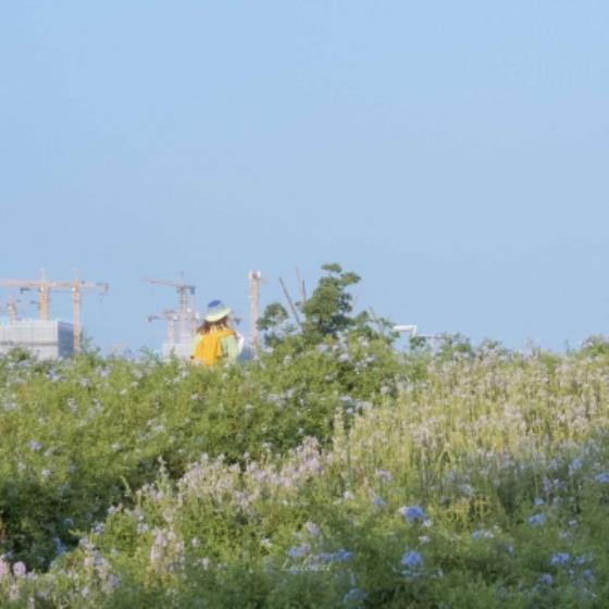 【经典】出门喝酒后的说说（独自喝酒的心情说说）