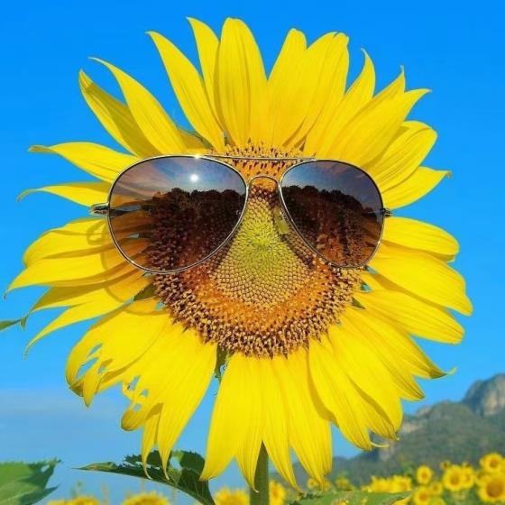 【经典】女人一生辛苦文案（女人辛苦简短文案）