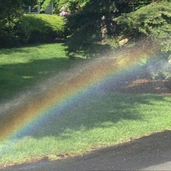 【感悟】感悟光明正大地追求利润（光明正大的追求利润的感想）