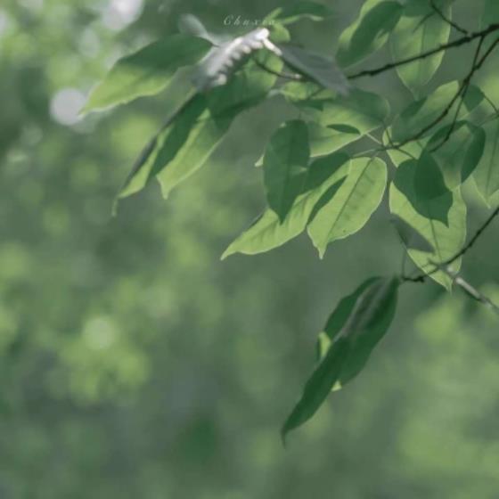 【感悟】化工工作的感悟（化工学习工作感悟）