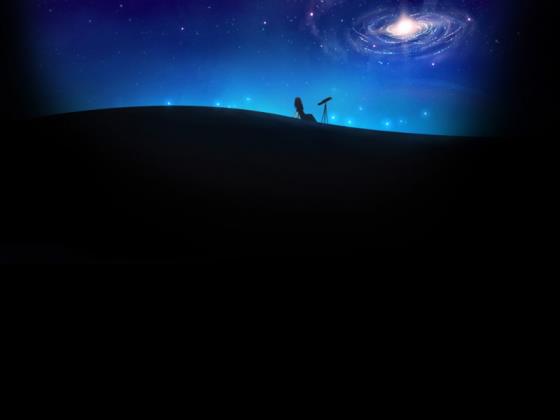 【唯美】化石优美文案句子（描写化石的句子超优美）