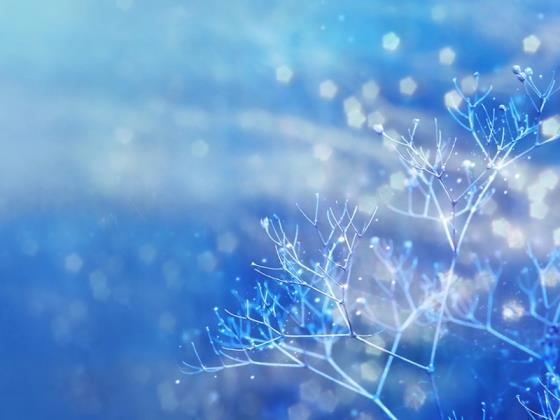 【唯美】死亡的句子简单（死亡最佳句子）