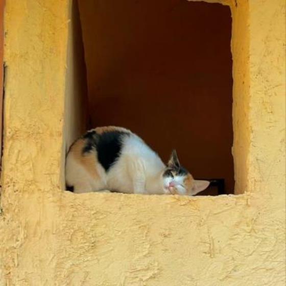 【爱情】我不需要狗屁恋爱的句子（不要求着人家去恋爱的句子）