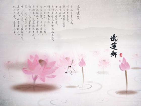 【感悟】如果信仰有颜色读后感悟（信仰的简短心得体会）